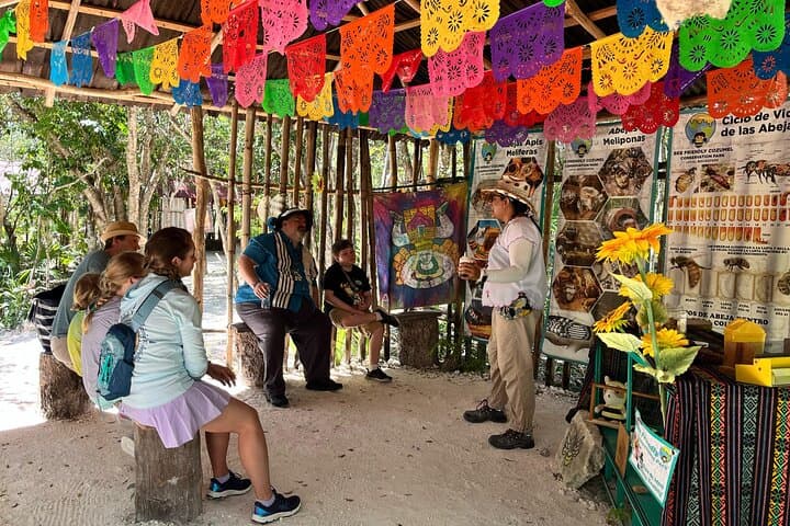 Cozumel Melipona Honey Tasting and Hands-On Jungle Chocolate Workshop photo 5