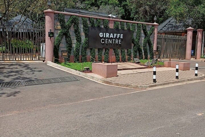 Private Giraffe Centre Tour Nairobi: Feed Rothschilds, Meet Kobe Beads Artisans photo 5