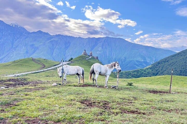 Horseback to Gergeti Trinity: Ride to Kazbegi's Mountain Church photo 3