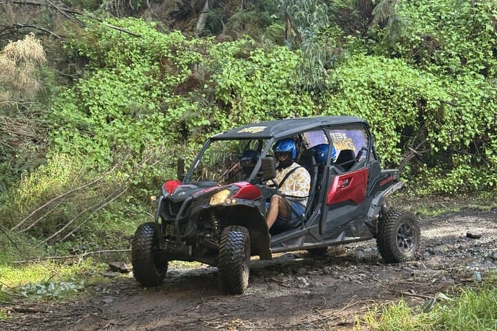 Drive a Buggy Through Madeira’s Laurisilva Forest — Off‑Road Adventure from Calheta