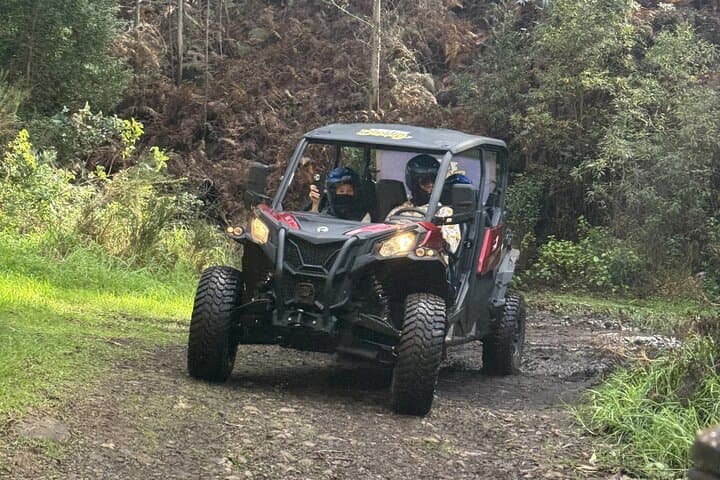 Drive a Buggy Through Madeira’s Laurisilva Forest — Off‑Road Adventure from Calheta photo 3
