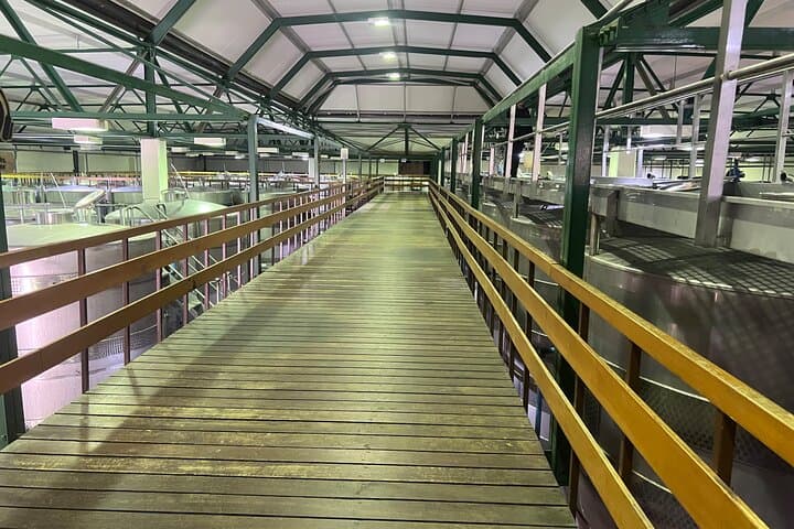 Full-Day Cape Winelands Wine Tasting Tour: Stellenbosch, Franschhoek & Paarl photo 2