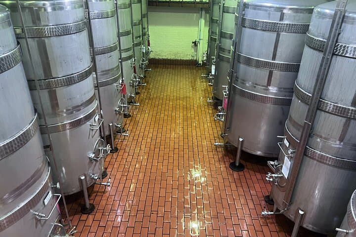 Full-Day Cape Winelands Wine Tasting Tour: Stellenbosch, Franschhoek & Paarl photo 3