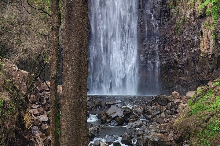 Materuni Waterfall & Chagga Coffee Experience — Day Trip from Moshi photo 3