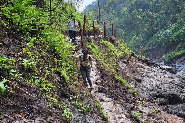 Materuni Waterfall & Chagga Coffee Experience — Day Trip from Moshi photo 4