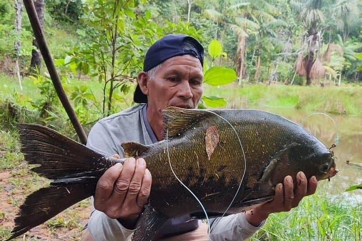 Amazon Sport Fishing in Pacaya Samiria: 6-Day Jungle Angling & Camping Adventure photo 4