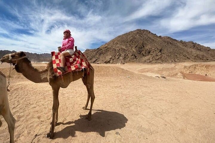 Hurghada Desert ATV & Camel Safari — 3-Hour Quad Adventure with Bedouin Village Visit photo 5