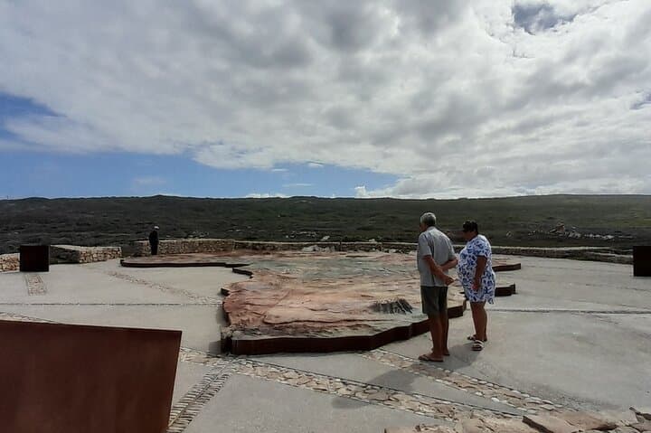 Cape Agulhas Day Trip: Whales, Penguins & Wine from Cape Town photo 2