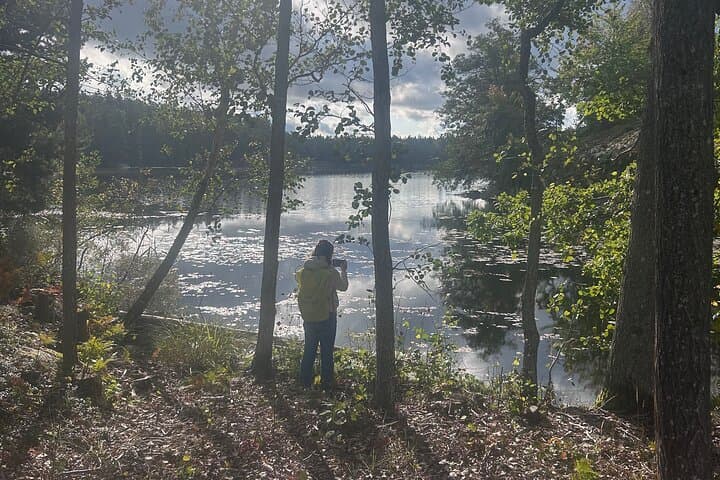Stockholm Guided Hike and Wood-Fired Sauna — Forest Bathing 20 Minutes from the City photo 2