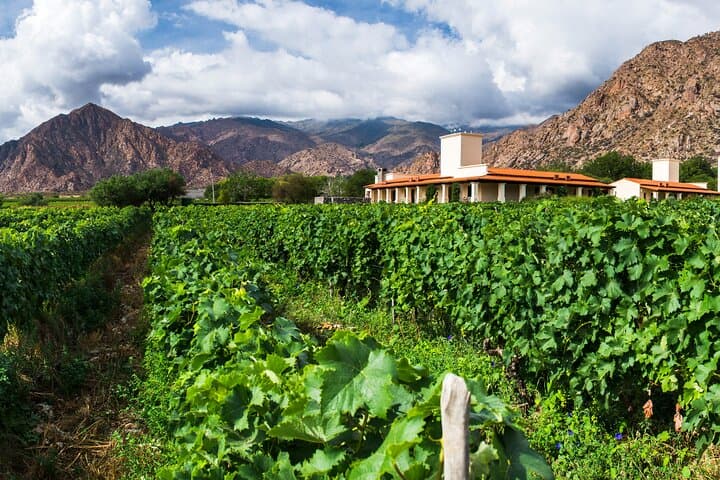 4-Day Salta Itinerary: Humahuaca Valley Colors & Cafayate Wineries