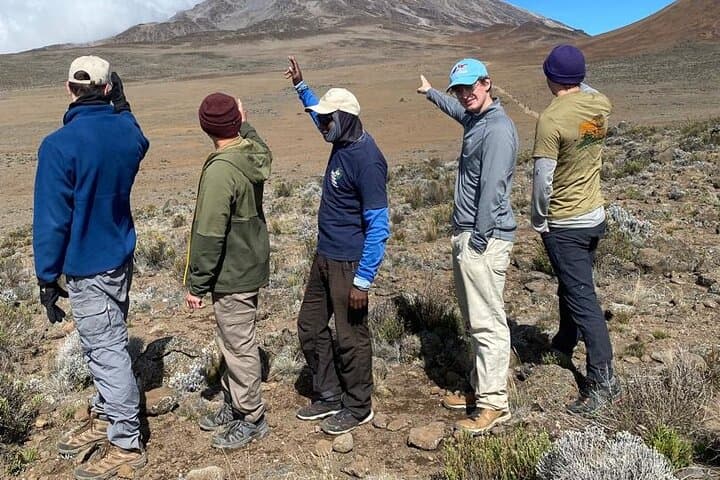 7-Day Kilimanjaro Trek: Lemosho, Machame, Rongai, Umbwe Routes to Uhuru Peak photo 4