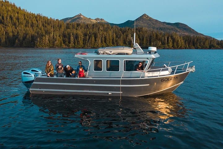 Sitka Small-Boat Whale Watching: Intimate Wildlife Cruise in Sitka Sound photo 1