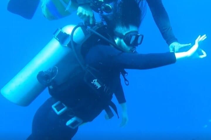 Try Scuba Diving from Makati to Anilao: Full-Day Introductory Dive photo 4