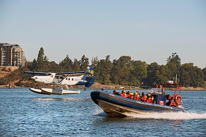 Vancouver to Victoria Seaplane Day Trip & Haro Strait Whale Watching