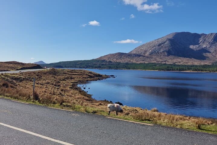 Connemara Day Tour from Galway: Kylemore Abbey, Inagh Valley & Clifden photo 5