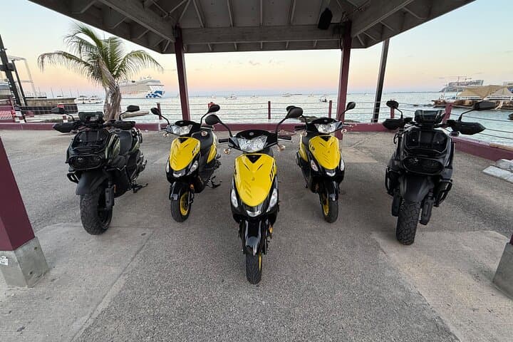 Scooter Cayman: Full-Island Scooter Tour from Seven Mile Beach