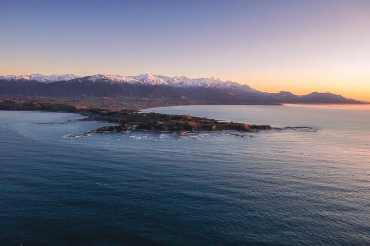 Kaikōura Helicopter Whale Watching — 2-Hour Ultimate Marine Sanctuary Flight photo 6