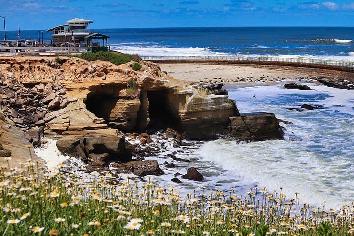 Coastal E-Bike Tour: La Jolla to Pacific Beach Ride