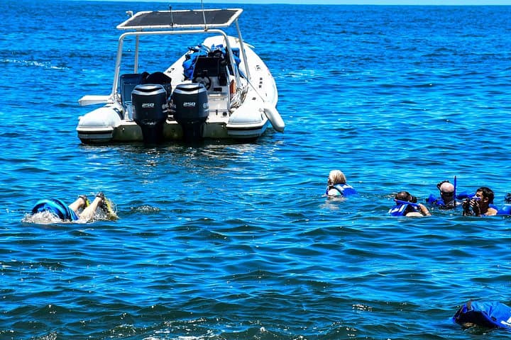 Speedboat to Yelapa: Snorkeling, Waterfall & Beach Escape from Puerto Vallarta photo 3