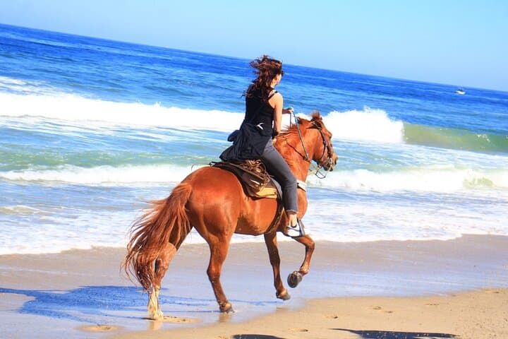 Coastal Horseback Ride from Higuera Blanca to Litibú: Punta Mita’s Three-Setting Adventure