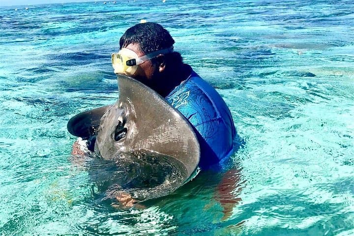 Moorea Combo Jet Ski Excursion and 4x4 Safari — Sharks, Rays & Island Vistas photo 6