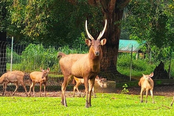 Ultimate Perak Nature Expedition: Kellie's Castle, Gua Tempurung & Sungai Klah Hot Springs photo 4