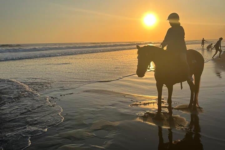 Ride Pig-Stone Beach and Bali Rice Fields: Langudu Horseback Experience photo 4
