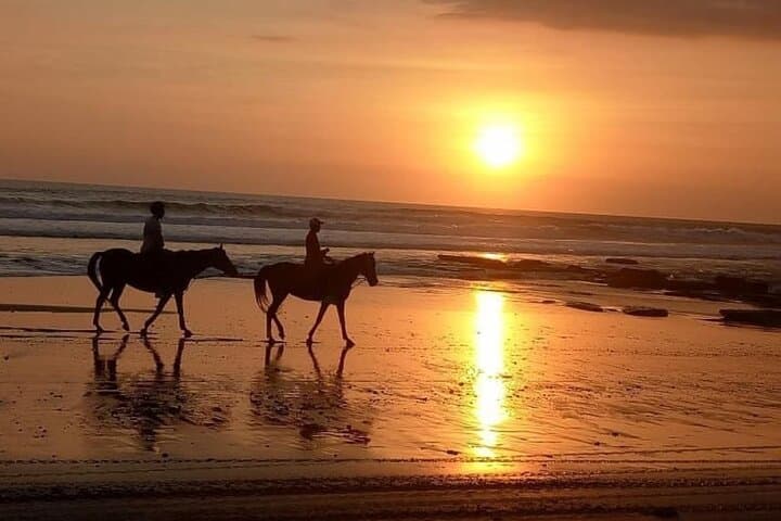 Ride Pig-Stone Beach and Bali Rice Fields: Langudu Horseback Experience