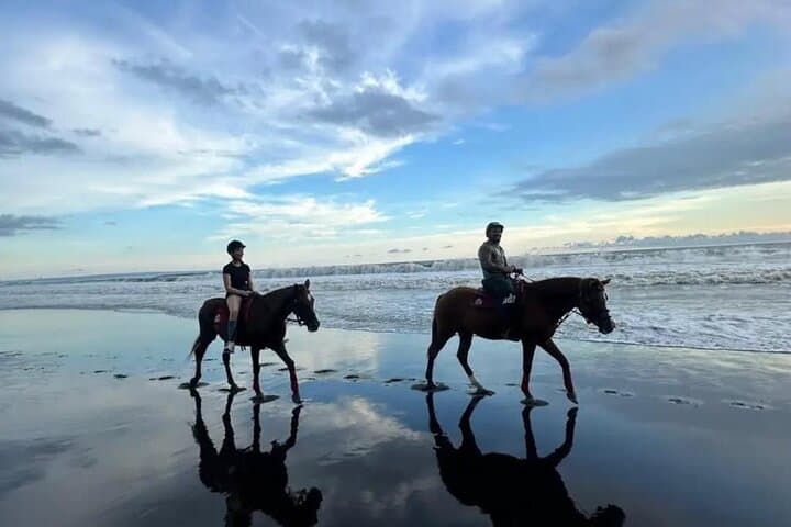 Ride Pig-Stone Beach and Bali Rice Fields: Langudu Horseback Experience photo 2