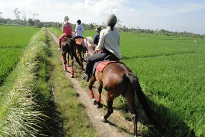 Ride Pig-Stone Beach and Bali Rice Fields: Langudu Horseback Experience photo 5