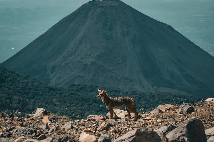 Santa Ana Volcano Budget-Friendly Hike with Private Transport photo 2