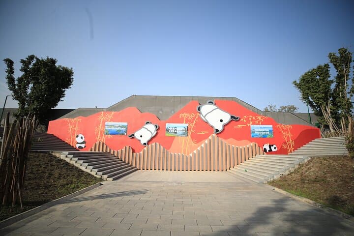 Private Chengdu Panda Base Tour: Half-Day Guided Visit to Giant Pandas photo 3