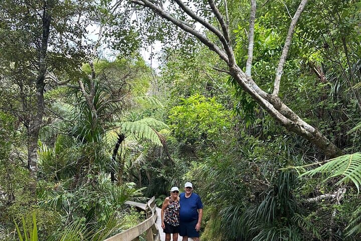 Private Piha Beach, Waitākere Rainforest & Mt Eden Guided Tour (5-hour) photo 5