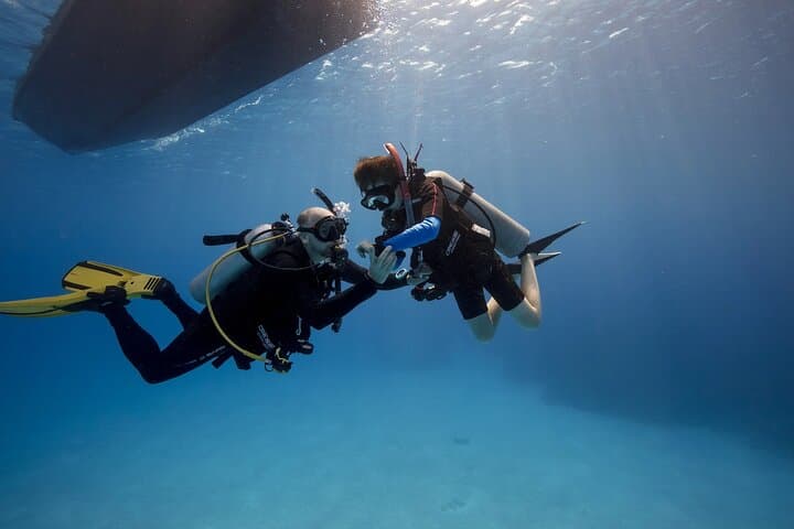 Jeddah Scuba Diving: Explore the Red Sea's Coral Gardens & Fossil Reefs photo 2
