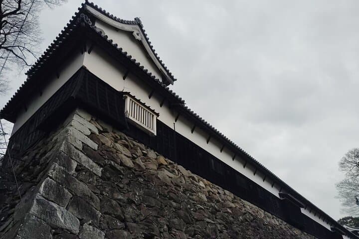 Fukuoka Castle & Ohori Park Guided Walking Tour — Historic Ruins and Lakeside Stroll photo 3