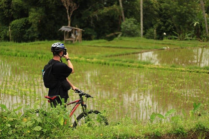 Downhill Jungle and Rice Terrace Cycling Tour from Ubud to Kintamani photo 1