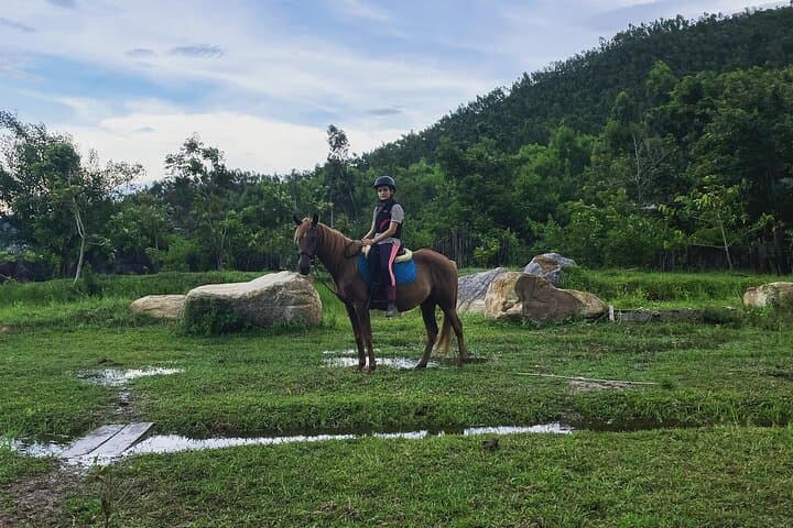 Horseback Riding Through Rice Fields Near Hoi An: A 1-Hour Rural Trail Experience photo 3