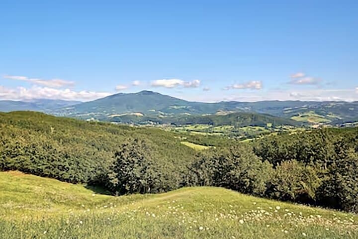 Cinque Terre to Parma: E‑Bike, Food & Overnight Tour of Parma’s Culinary Heart photo 3