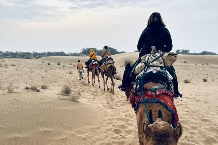 Thar Desert Camping & Camel Safari: Overnight Jaisalmer Experience