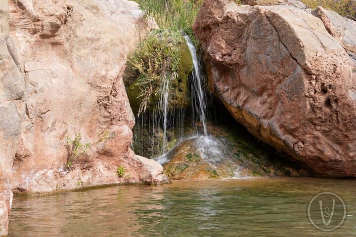 Paradise Valley Half-Day from Agadir — Hike, Swim and Berber Villages photo 4