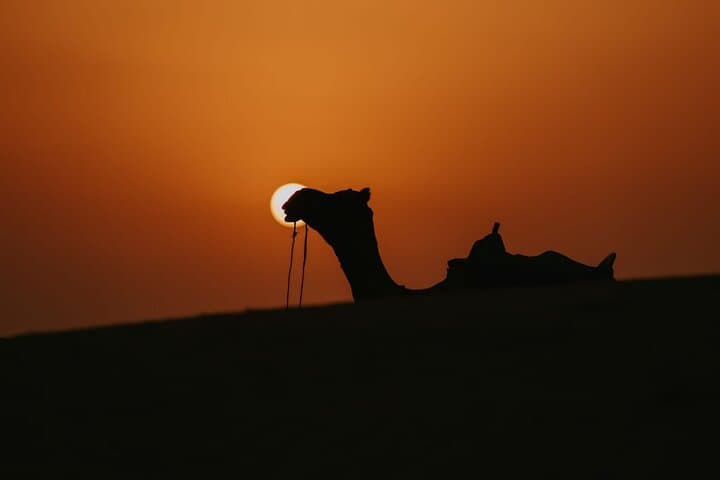 Thar Desert Camping & Camel Safari: Overnight Jaisalmer Experience photo 5