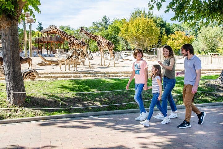 Inside Zoo Aquarium Madrid: Guide to Casa de Campo’s Wildlife Experiences