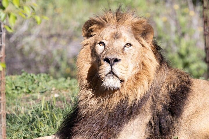 Inside Zoo Aquarium Madrid: Guide to Casa de Campo’s Wildlife Experiences photo 4