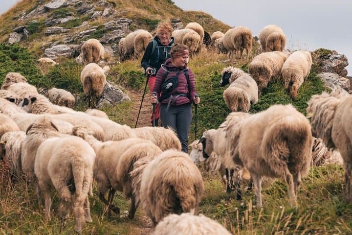 Valbona to Theth: Self-Guided Alpine Trek with Transport and GPS Map photo 3