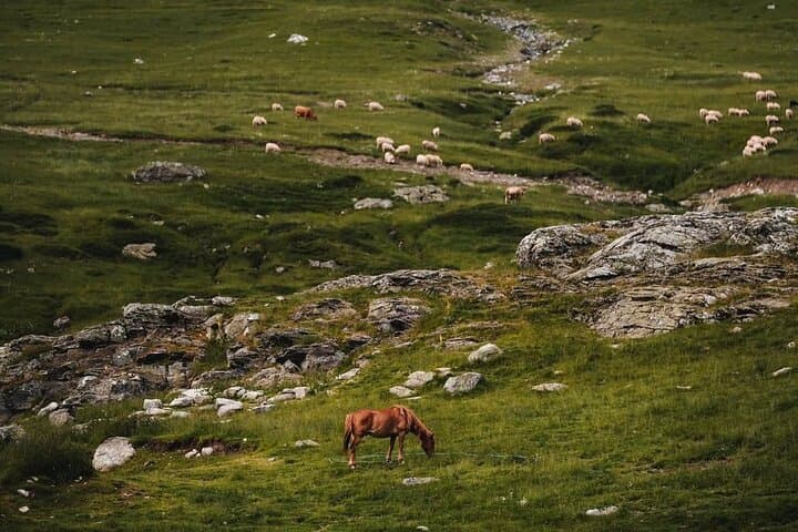 Valbona to Theth: Self-Guided Alpine Trek with Transport and GPS Map photo 4