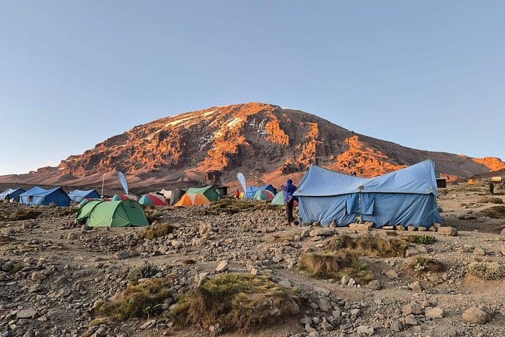 5-Day Kilimanjaro Climb via Marangu Route — Hut Trek to Uhuru Peak photo 3