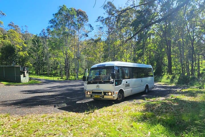 Blue Mountains Day Trip from Sydney: Waterfall Walk, Three Sisters & Local Lunch photo 6