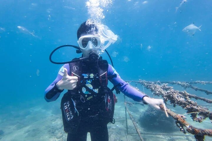 Explore Sanya with a Private Car Charter: Custom 1 to 3-Day Tours photo 6