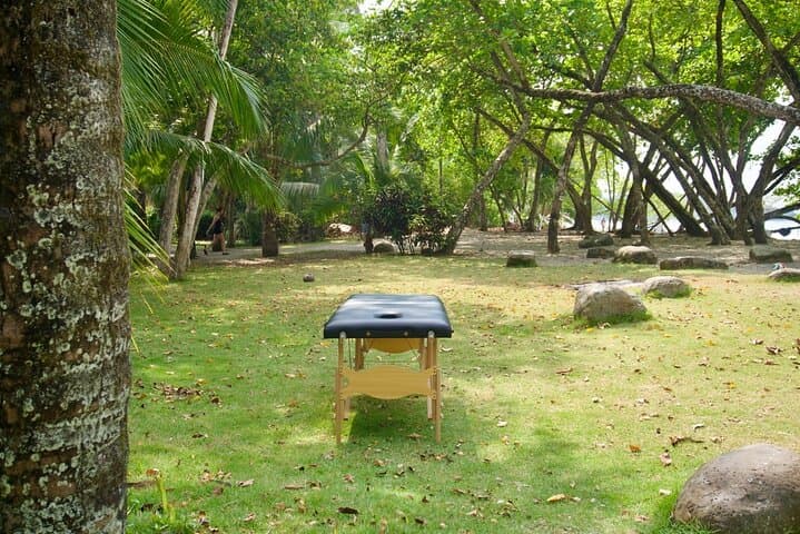 Percussive Beach Massage in Manuel Antonio: Ocean-Wave Recovery Therapy photo 4