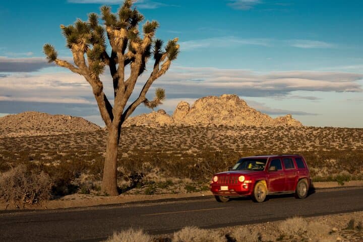 Joshua Tree Hidden Valley Self-Guided Audio Tour — Explore the 1-Mile Loop photo 3